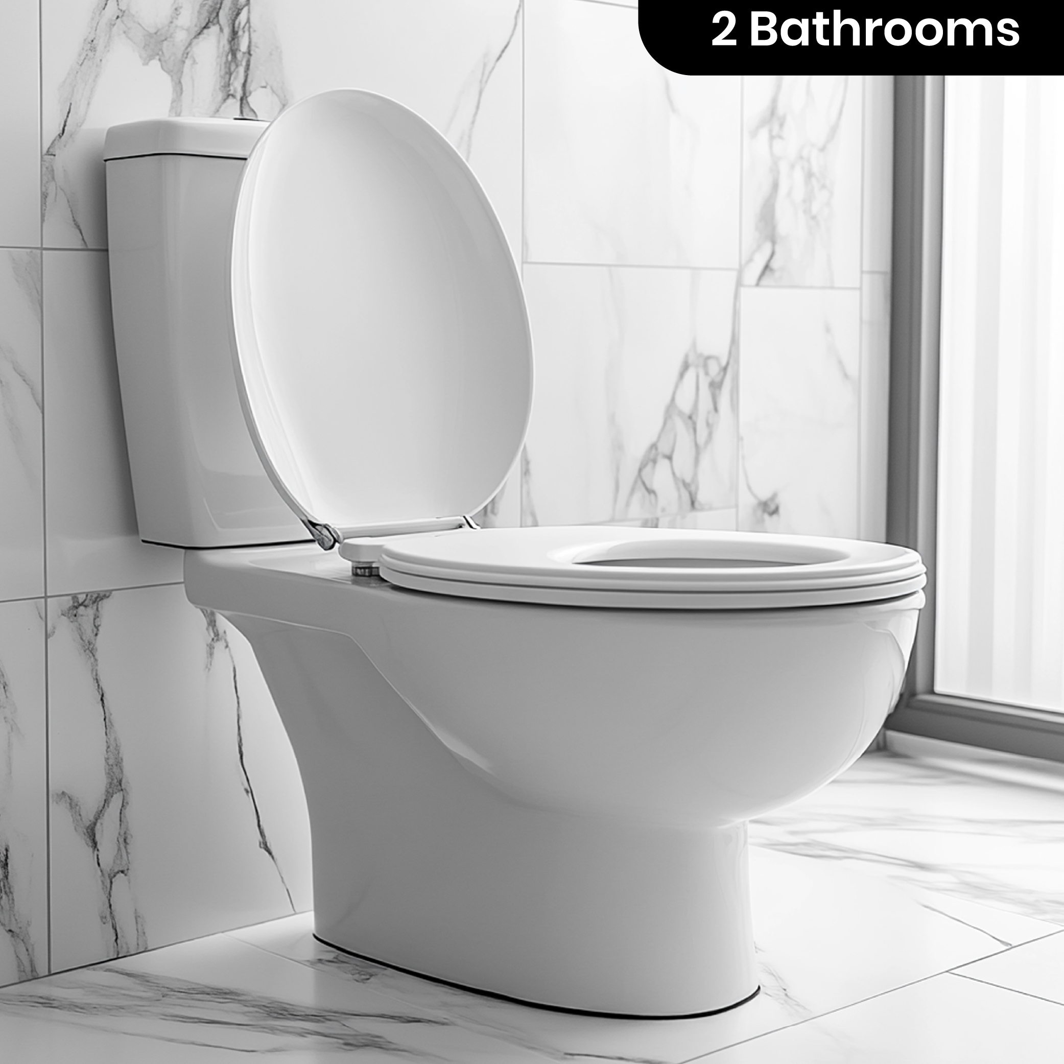 Bathroom Cleaning