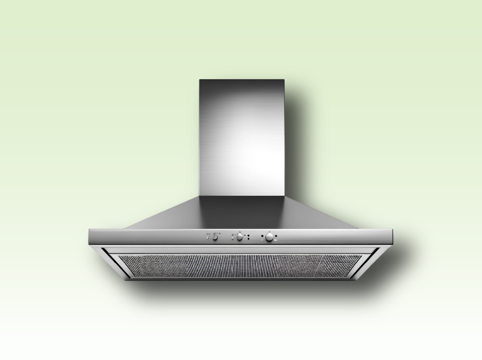 Repair Diagnosis