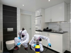 bathroom and Kitchen 