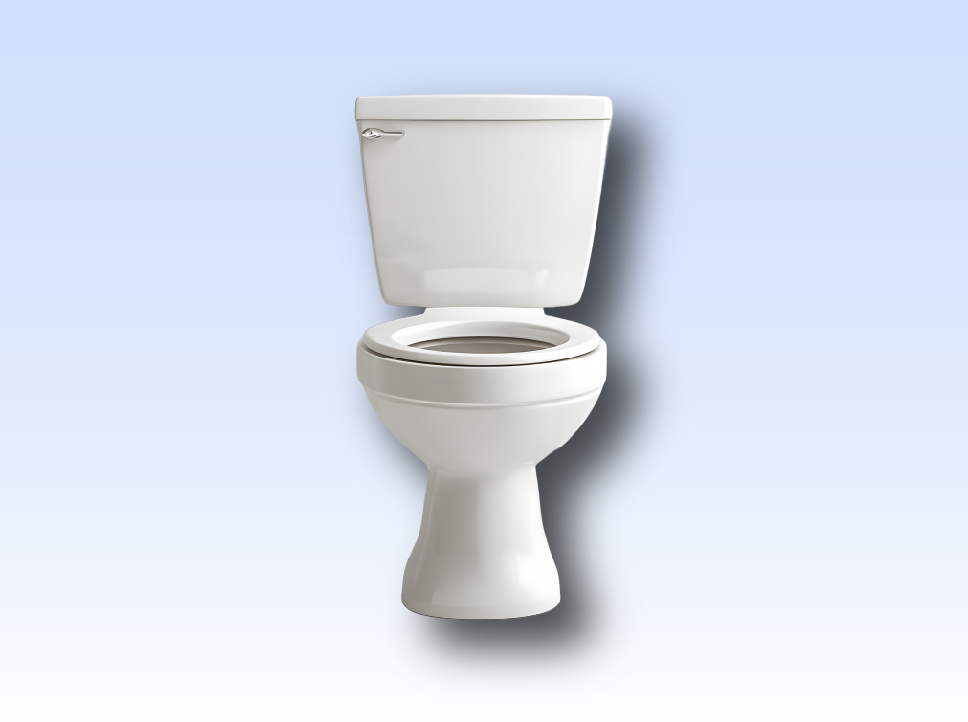 Western toilet replacement