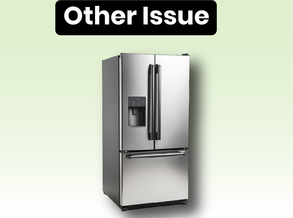 Other Issue 